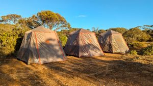 tents