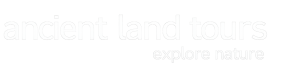 alt white logo cropped