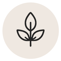 icon final 1